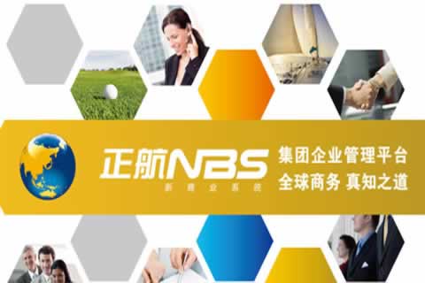 集團(tuán)企業(yè)應(yīng)用-NBS